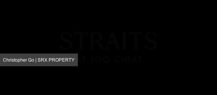 Joo Chiat Mansions (D15), Apartment #490531501